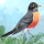 Robin Munn Avatar