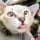 bob Avatar